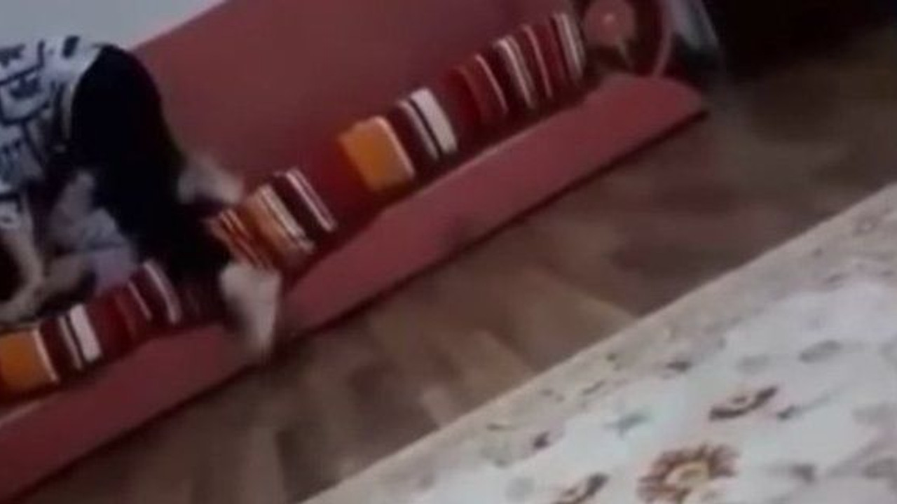 Valilikten çocuğunu döven kadın hakkında açıklama